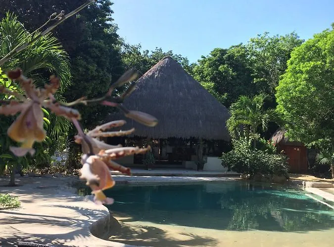 Hotel La Mexicana By Diving Prestige *